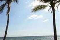 Alexander Palms Court Hotel Key West Bagian luar foto